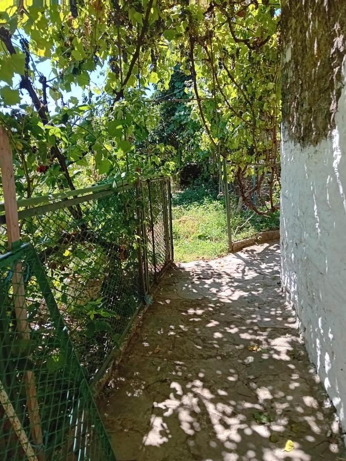 Stone Pazar Guest House Gjirokastër Esterno foto